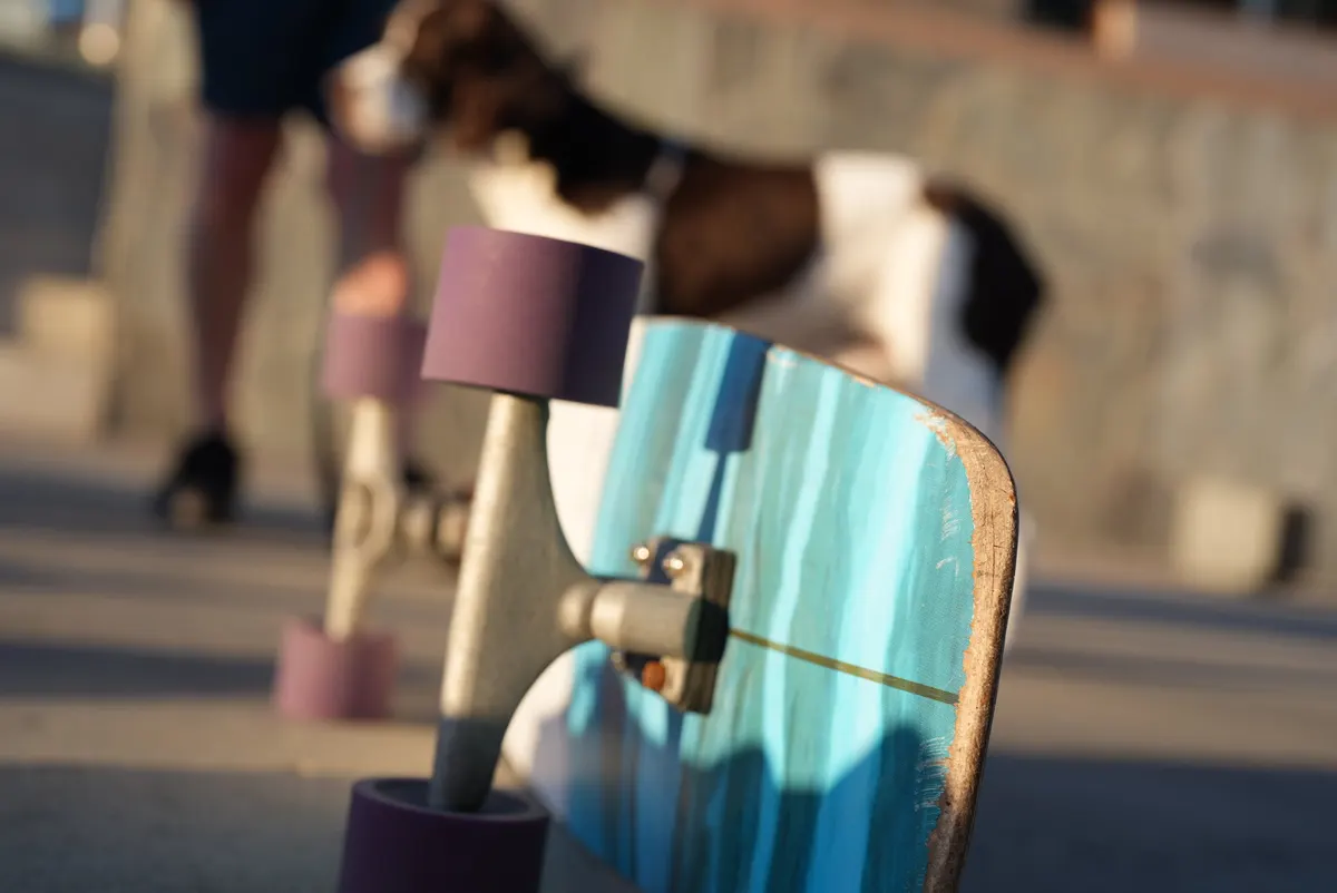 Skateboard Chill