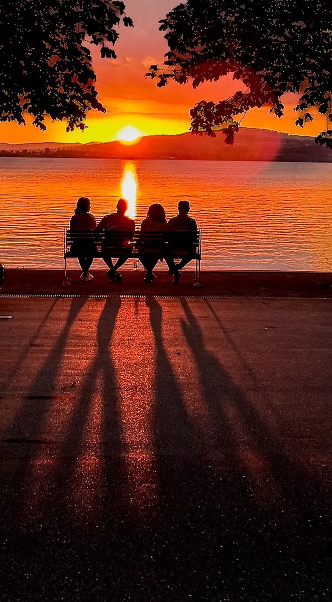Sunset Bench Quartet